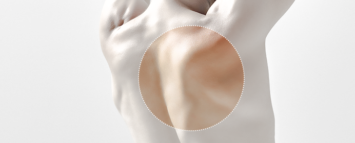 the shoulder blade